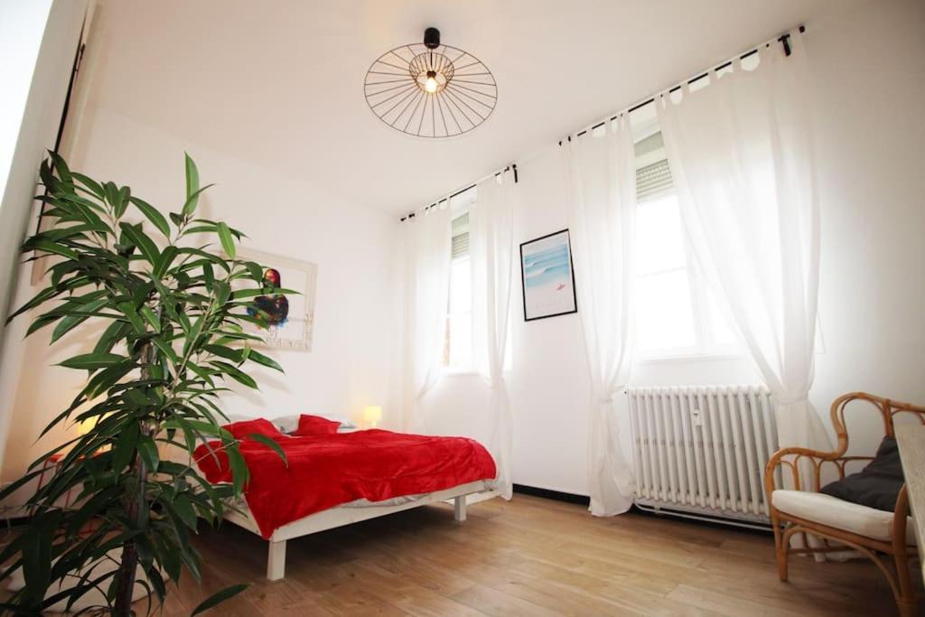 T2 Vue Sur Cathedrale Appartement